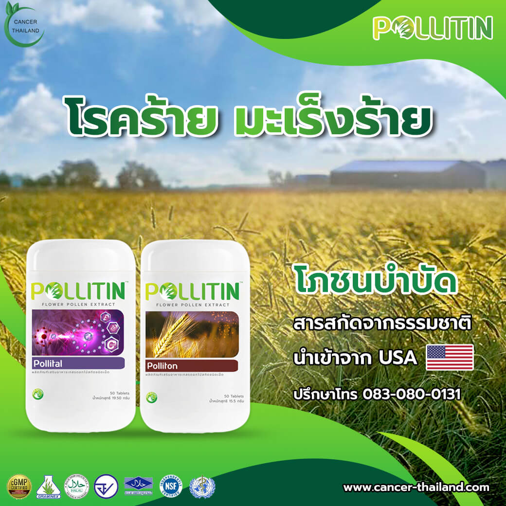 ยารักษามะเร็งตับ พอลลิติน สมุนไพรมะเร็งตับ อาหารเสริม