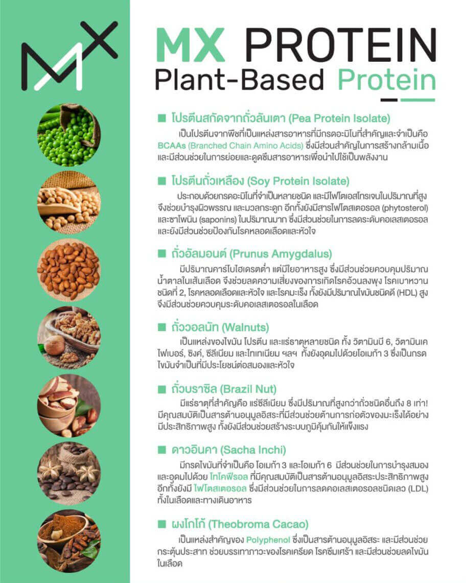 โปรตีนจากพืช โปรตีนจากถั่ว เอ็มเอ็กซ์โปรตีน MXProtein โปรตีนผู้ป่วยมะเร็ง