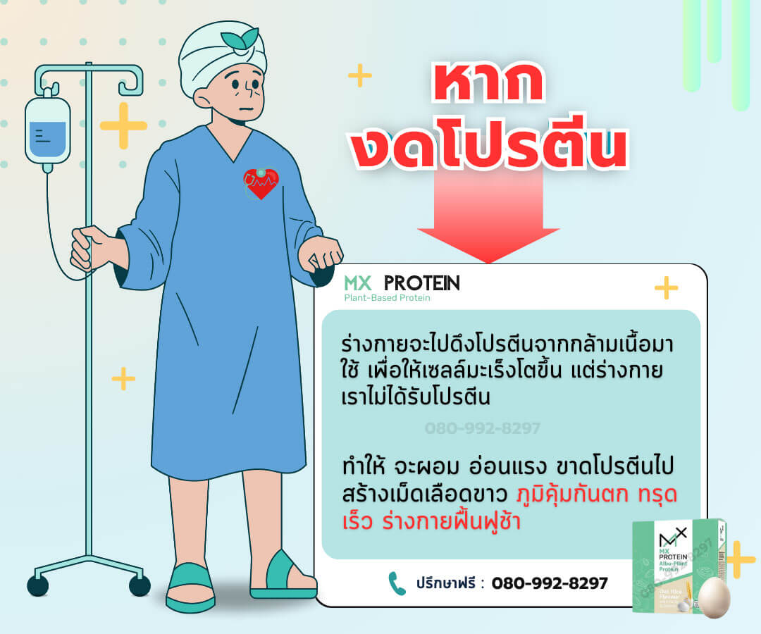 โปรตีนไข่ขาว สำหรับผู้ป่วยมะเร็ง ที่ดีที่สุด