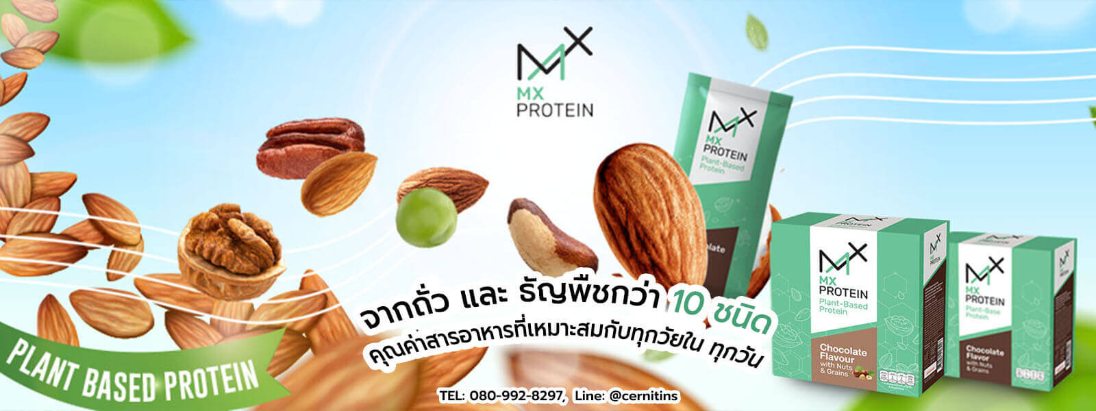 MX Protein เอ็มเอ็กซ์โปรตีน โปรตีนผู้ป่วยมะเร็ง โปรตีนจากถั่ว