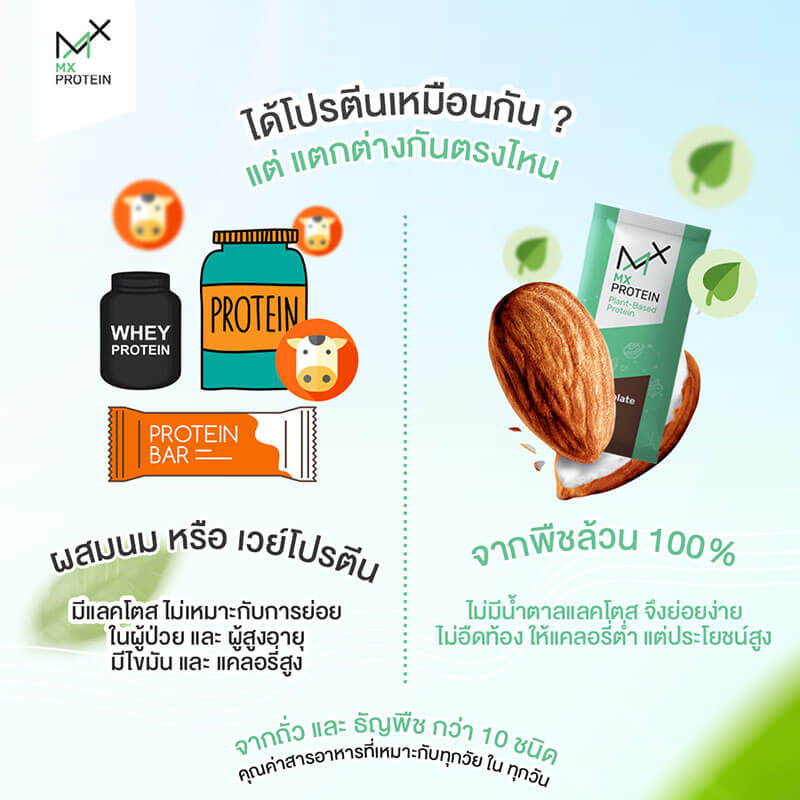 เอ็มเอ็กซ์โปรตีน โปรตีนจากพืช โปรตีนจากถั่ว MX PROTEIN โปรตีนผู้ป่วยมะเร็ง